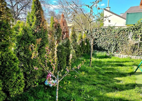 Objavte potenciál bývania v rodinnom dome v centre Piešťan