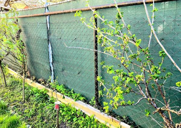 Objavte potenciál bývania v rodinnom dome v centre Piešťan