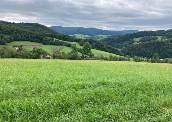 Stavebný pozemok Lysá pod Makytou, časť Dešná 1500 m2