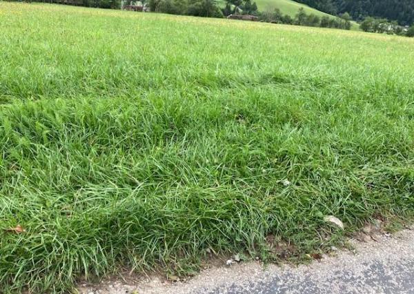 Stavebný pozemok Lysá pod Makytou, časť Dešná 1500 m2