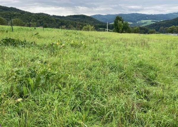 Stavebný pozemok Lysá pod Makytou, časť Dešná 1500 m2