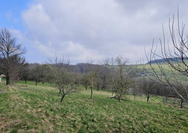 DVA POZEMKY 2 x 830 M2 NA MYJAVSKÝCH KOPANICIACH NA PREDAJ