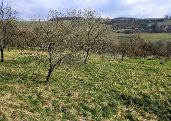 DVA POZEMKY 2 x 830 M2 NA MYJAVSKÝCH KOPANICIACH NA PREDAJ