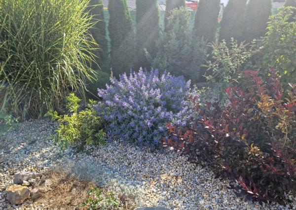 Novostavba - bungalov 100 m2 v obci Košeca, pozemok 800 m2