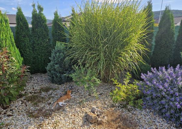 Novostavba - bungalov 100 m2 v obci Košeca, pozemok 800 m2