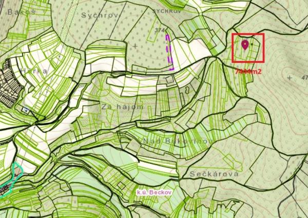 Pozemok - trvalý trávnatý porast a lesný pozemok, Beckov