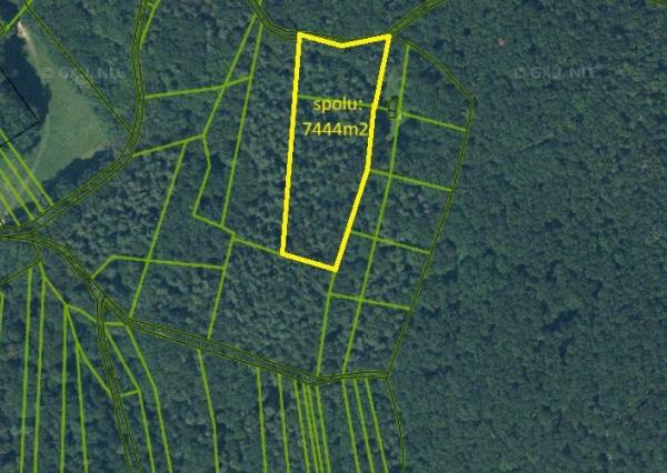 Pozemok - trvalý trávnatý porast a lesný pozemok, Beckov