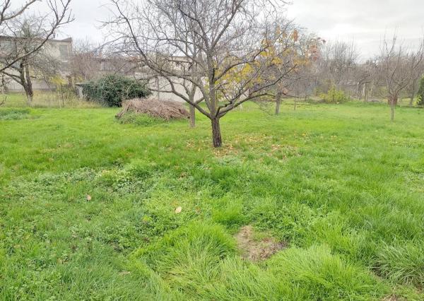 Priestranný rodinný dom s garážou, Vrbové