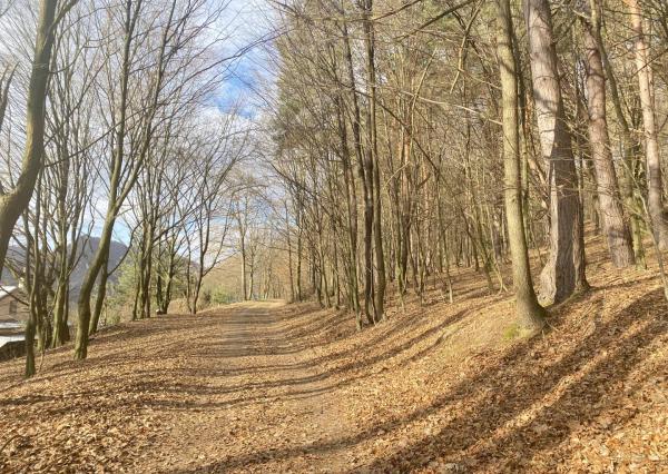 Rekreačný pozemok Dolná Súča - 1482 m2