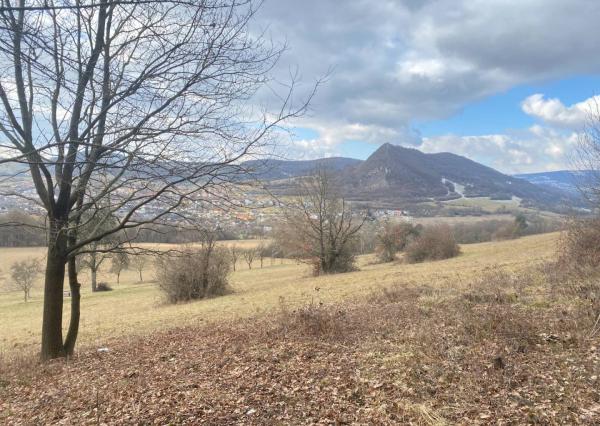 Rekreačný pozemok Dolná Súča - 1482 m2