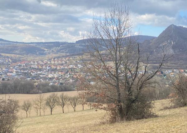 Rekreačný pozemok Dolná Súča - 1482 m2