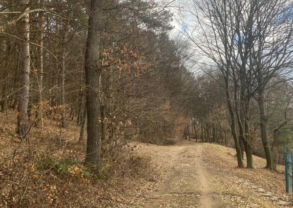 Rekreačný pozemok Dolná Súča - 1482 m2