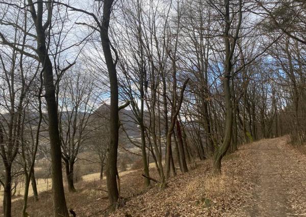 Rekreačný pozemok Dolná Súča - 1482 m2