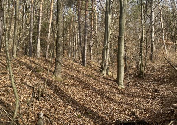 Rekreačný pozemok Dolná Súča - 1482 m2