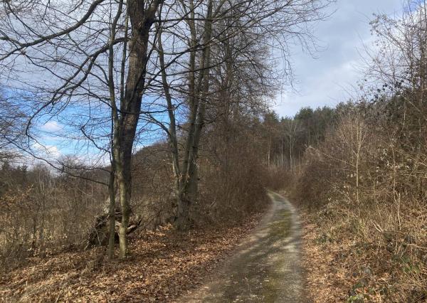 Rekreačný pozemok Dolná Súča - 1482 m2