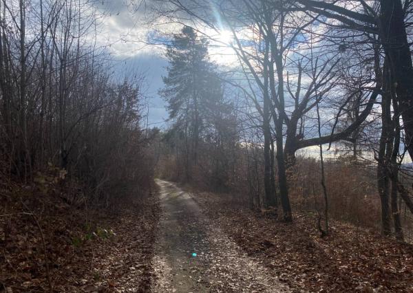 Rekreačný pozemok Dolná Súča - 1482 m2