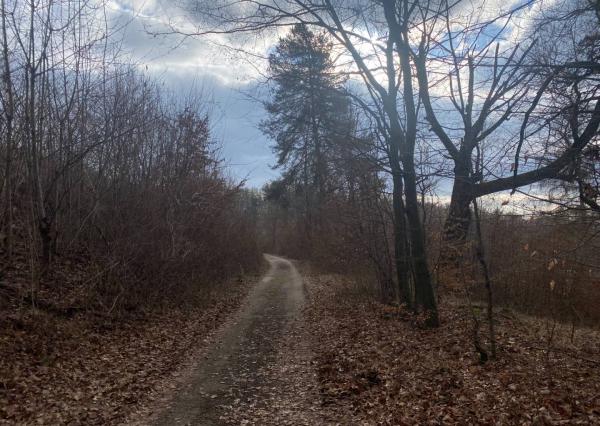 Rekreačný pozemok Dolná Súča - 1482 m2