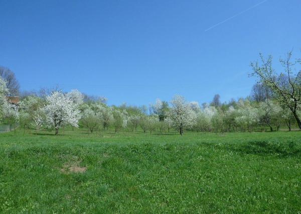 Na predaj pozemok Lysá pod Makytou 2795 m2