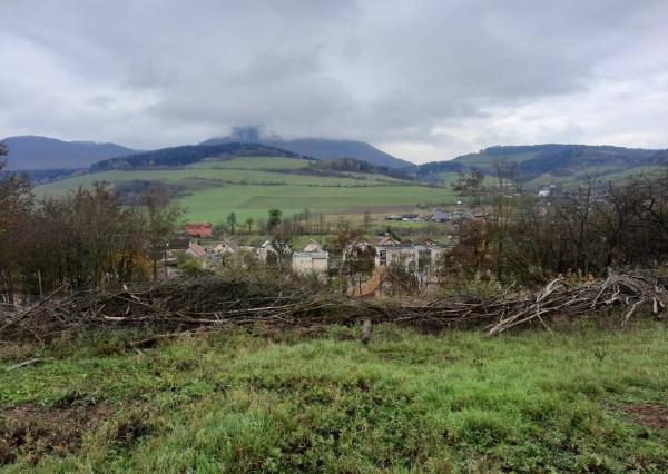 pozemok 4770m2 v obci Dolný Lieskov