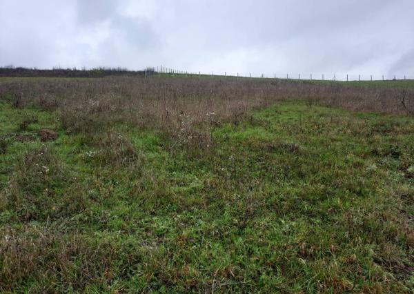 pozemok 4770m2 v obci Dolný Lieskov