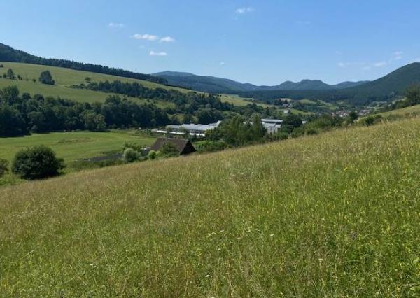 Pozemok na výstavbu, Považská Bystrica (Prečín) 1000m2, 578 m2