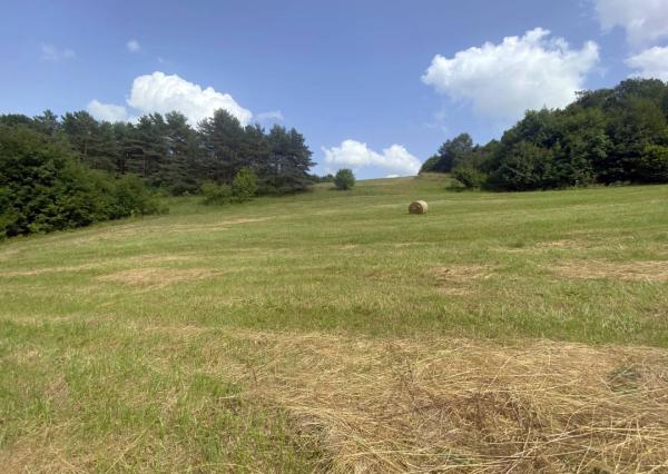 Veľký rekreačný pozemok s chatkou, Streženice (Púchov), 2400 m2