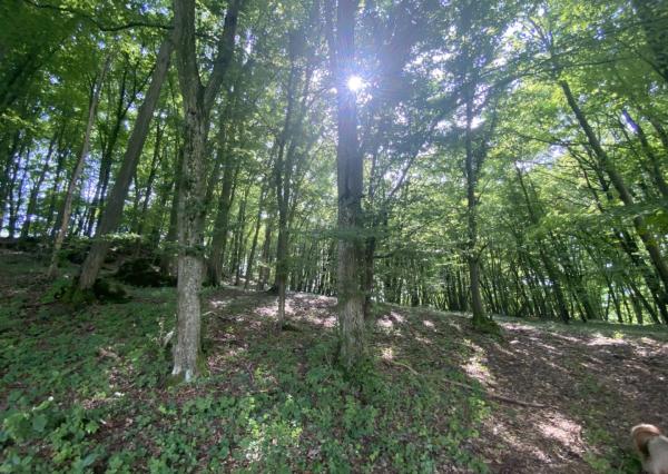 Veľký rekreačný pozemok s chatkou, Streženice (Púchov), 2400 m2