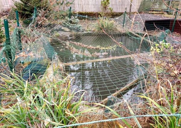 Murovaná chata v rekreačnej oblasti , Moravany nad Váhom - Výtoky