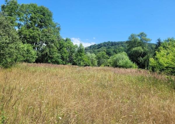 Veľký pozemok 1261 m2 v obci Dohňany