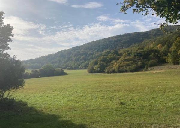 Na predaj pozemok Košecké Podhradie, 1000 m2