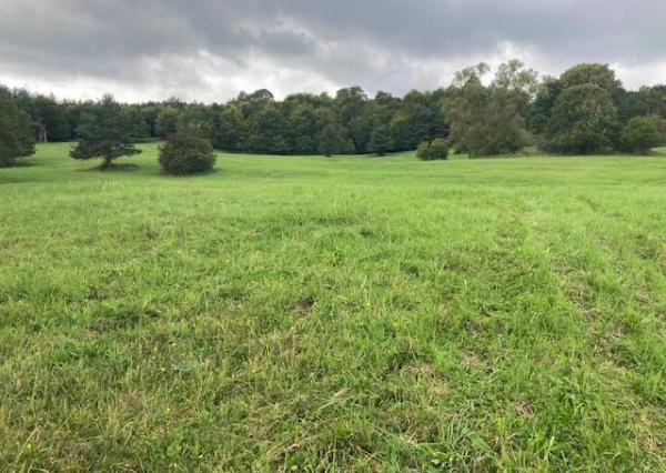 Investičná príležitosť* Na predaj Pozemok Považská Bystrica - 10000 m2