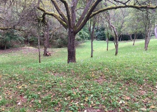 Investičná príležitosť* Na predaj Pozemok Považská Bystrica - 10000 m2