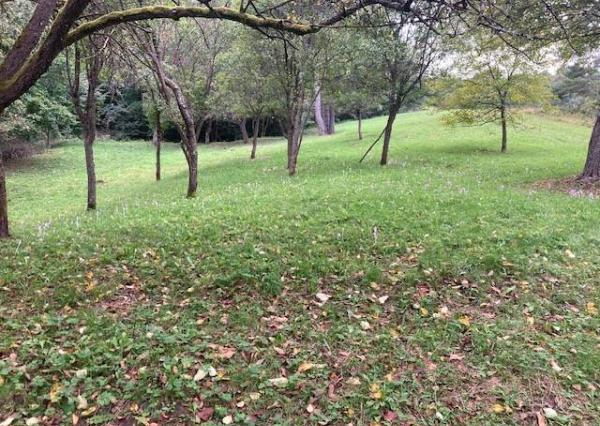 Investičná príležitosť* Na predaj Pozemok Považská Bystrica - 10000 m2