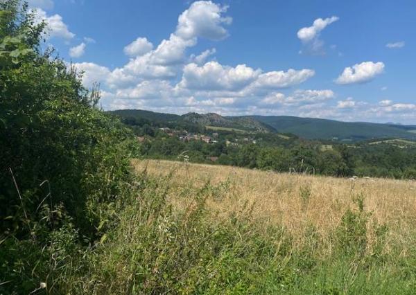 Pozemok na rekreáciu - Dolná Súča - Polníky - 1326 m2