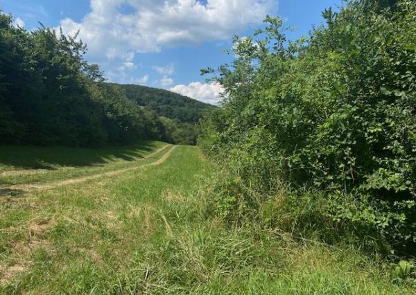 Pozemok na rekreáciu - Dolná Súča - Polníky - 1326 m2