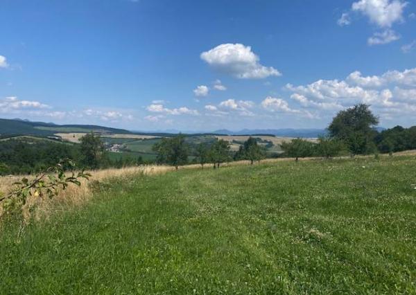 Pozemok na rekreáciu - Dolná Súča - Polníky - 1326 m2