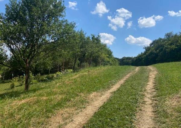 Pozemok na rekreáciu - Dolná Súča - Polníky - 1326 m2