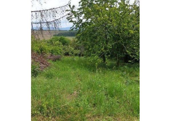 Záhrada 411 m2 v chatovej oblasti Šípkové