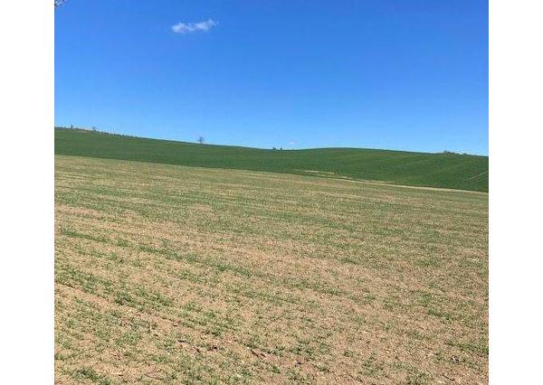 Na predaj Orná pôda Ladce, 1500 m2