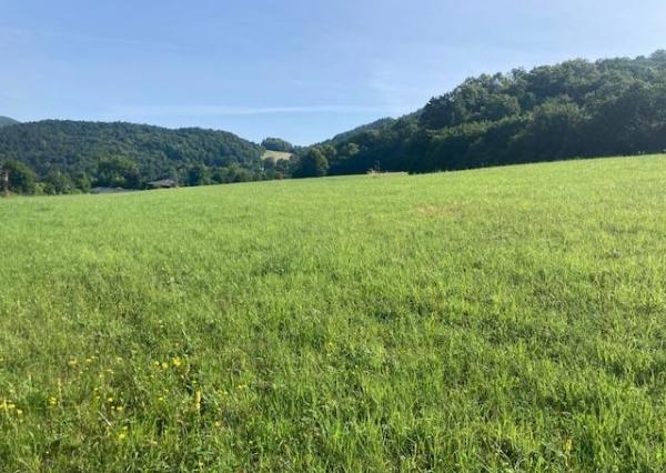 Na predaj Stavebný pozemok Nimnica, 700 m2