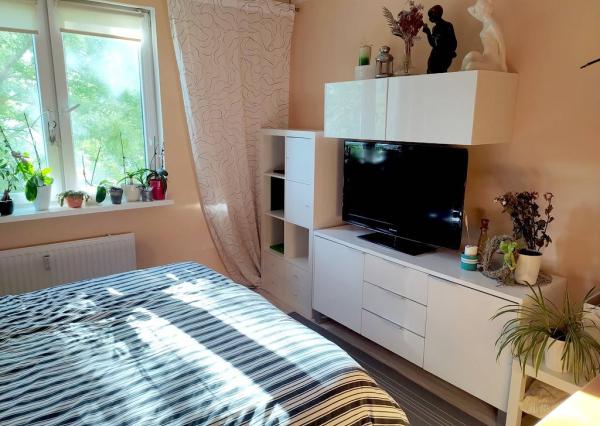 Prenajom izby s príslušenstvom a loggiou v trojizbovom byte, Piešťany