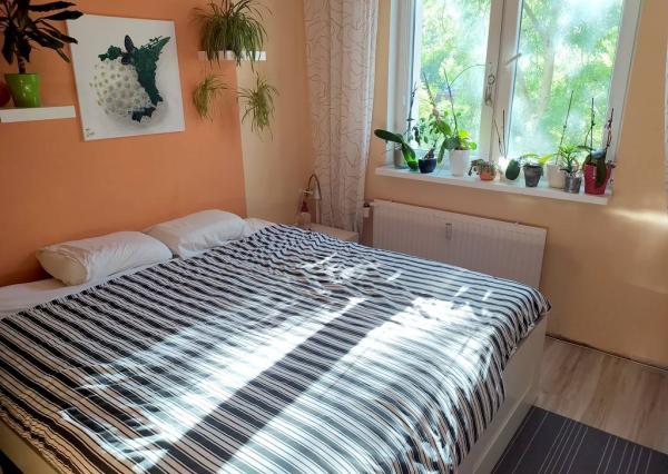 Prenajom izby s príslušenstvom a loggiou v trojizbovom byte, Piešťany