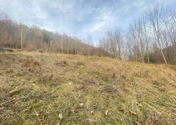 KRÁSNY rekreačný pozemok 709 m2 Zliechov - SUPER CENA