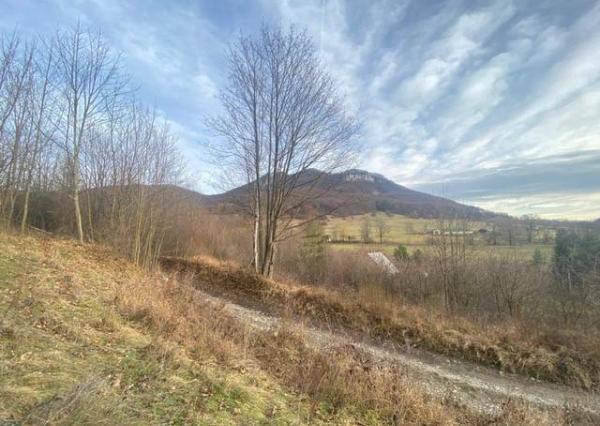 KRÁSNY rekreačný pozemok 709 m2 Zliechov - SUPER CENA