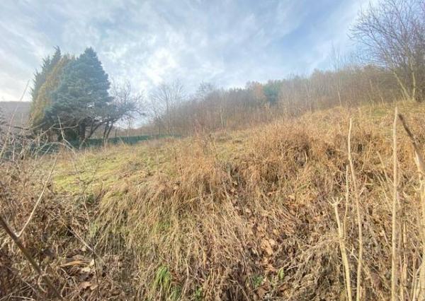 KRÁSNY rekreačný pozemok 709 m2 Zliechov - SUPER CENA