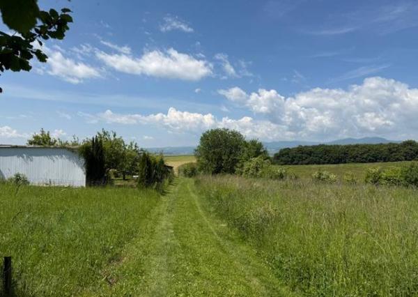 Záhrada 407 m2 s podpivničenou základovou doskou, Soblahov