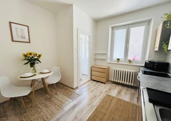 Na prenájom 1-izbový byt, 41 m², Trnavská cesta, od 1.6.2025