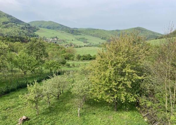 Rodinný Dom Košecké Podhradie, pozemok 1980 m2 , garáž a stodola