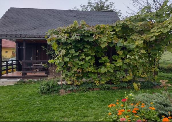 *REZERVOVANÉ* Rkreačná chatka - Dobrá Voda