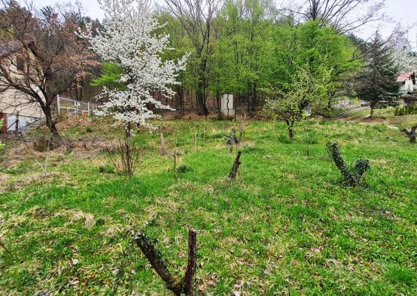 *REZERVOVANÉ* Stavebný pozemok 607 m2, Hôrka nad Váhom